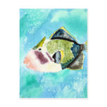 trigger fish sea life painting art prints