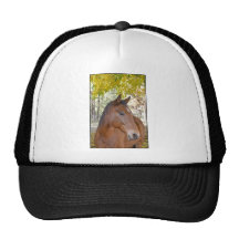 Trigger ~ The Incredible Rescue Horse Mesh Hat