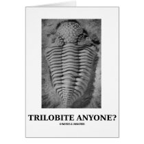 Trilobite Anyone? (Fossilised Trilobite)