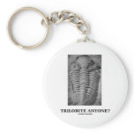 Trilobite Anyone? (Fossilised Trilobite) keychains