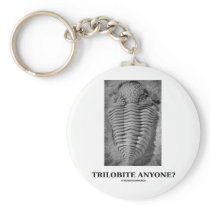 Trilobite Anyone? (Fossilised Trilobite)