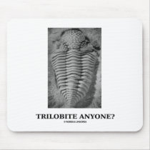 Trilobite Anyone? (Fossilised Trilobite)