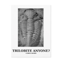 Trilobite Anyone? (Fossilised Trilobite)
