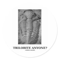 Trilobite Anyone? (Fossilised Trilobite)