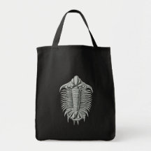 Trilobite Bag