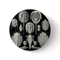 Trilobite! Buttons