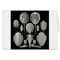 Trilobite! Greeting Card