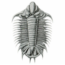 Trilobite Cutout Magnet/Sculpture Photo Cutouts