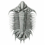 Trilobite Cutout Magnet/Sculpture photo sculptures