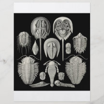Trilobite! Flyers