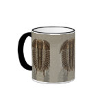 Trilobite Fossil Mug