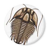 Trilobite Fridge Magnet