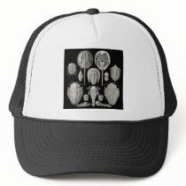 Trilobite! Hats
