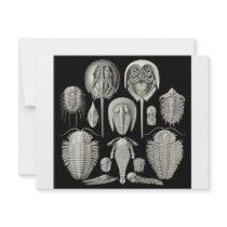 Trilobite! Personalized Invitation