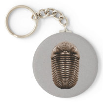 Trilobite Keychain