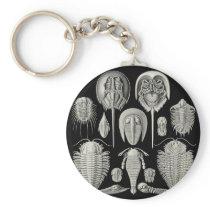 Trilobite! Keychains