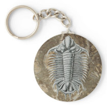Trilobite Keychain