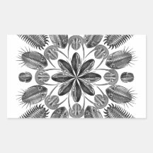 Trilobite Mandala Rectangle Sticker