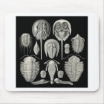 Trilobite! mousepads