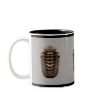 Trilobite Mug
