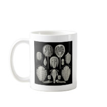Trilobite! Mugs