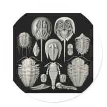 Trilobite! Stickers