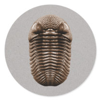Trilobite Sticker