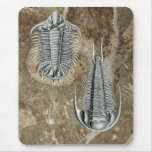 Trilobites Mousepad