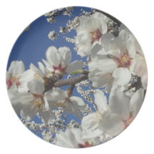 Trina's design plate.