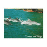 Trinidad and Tobago Postcard