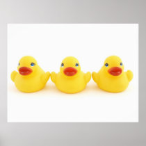 Trio of Ducks Posters