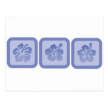 Trio of Hibiscus Flowers Postcard