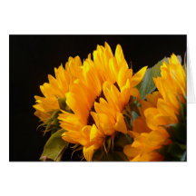Trio of Sunflowers Greeting Cards