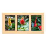 Trio of Tropical Flowers Photo Card photo cards