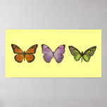Triple Butterfly Poster Horizontal posters