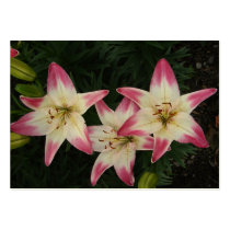 Triple Lily ~ ATC Business Card