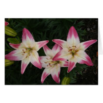 Triple Lily ~ card