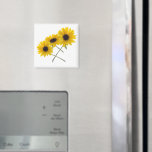 Triple Sunflower magnets