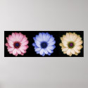 Triple Take posters