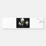 Triple White Dazzle Bumper Sticker