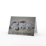 triplet bears congratulations cards