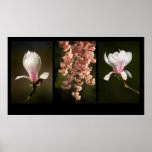 Triptych Spring posters
