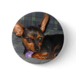 Trixie2 Button