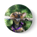 Trixie with stick buttons