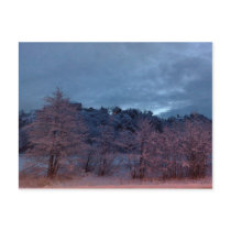 Troll morning post cards