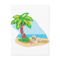 Tropical Afghan Hound Post Cards
