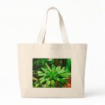 tropical agaves, fairchild tropical garden, miami, bags