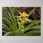 Tropical amarillo flower posters
