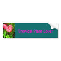 Tropical Anthurium