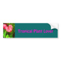 Tropical Anthurium bumper stickers